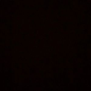 Meet your Posher, Allie